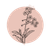 M.PERFUMERIA
